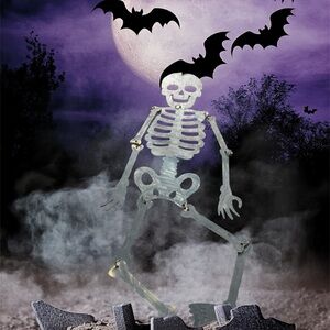 Anthropologie Black and White Skeleton Painting Art